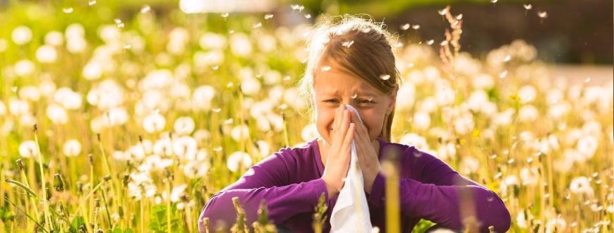 allergia vizsgálat kezelése teszt epicutan prick bőrteszt standard magyar fogászati sor budapest xi xxii xxi xxiii xx ix viii i xii